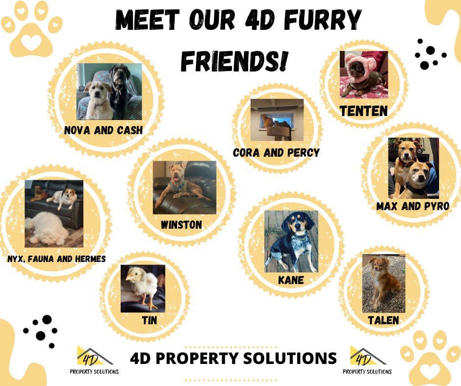 Meet our 4D Furry Friend Family! 🐥 🖤 🐶 💛 🐱